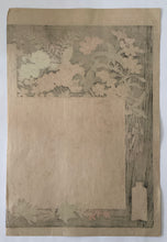 Load image into Gallery viewer, 【Genuine guarantee】Mizuno Toshikata  Thirty-six Elegant Selections　 Contents　
