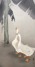 画像をギャラリービューアに読み込む, 【真作保証】小原古邨 がちょう　在庫はお問い合わせ下さい
