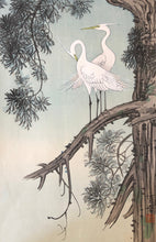 画像をギャラリービューアに読み込む, 【真作保証】大野　重幸
