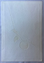 画像をギャラリービューアに読み込む, 【真作保証】白巻　81-10（柿Ｂ）
