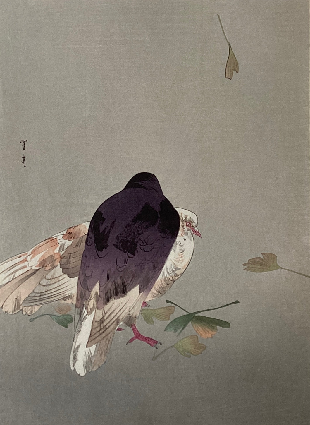 【真作保証】渡辺省亭　鳩