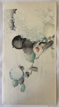 画像をギャラリービューアに読み込む, 【真作保証】小原古邨　紫陽花に雀

