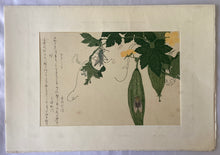 画像をギャラリービューアに読み込む, 【真作保証】歌麿　きりぎりすと蝉
