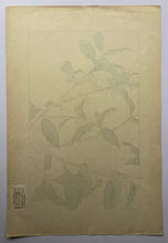 画像をギャラリービューアに読み込む, 【真作保証】杉浦非水　非水百花譜より　木犀（もくせい）
