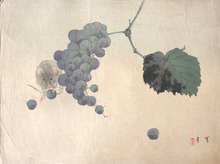 画像をギャラリービューアに読み込む, 【真作保証】渡辺省亭　ねずみ　ぶどう
