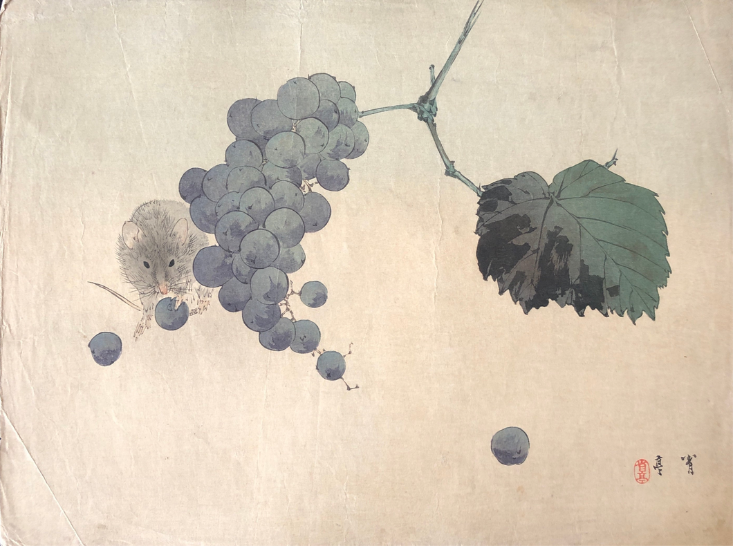 【真作保証】渡辺省亭　ねずみ　ぶどう