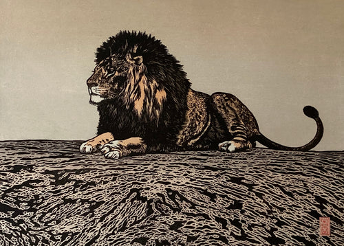 吉田遠志 – curve-arts