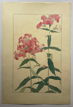 画像をギャラリービューアに読み込む, 【真作保証】杉浦非水　非水百花譜より　くさけうちくとう

