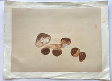 画像をギャラリービューアに読み込む, 梶田半古　栗と椎茸
