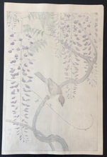 Load image into Gallery viewer, 【Genuine guarantee】 Kougyu,  sparrow with wisteria
