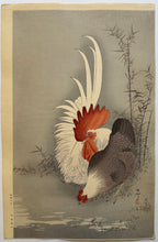 Load image into Gallery viewer, 【Genuine guarantee】 Ohara Koson , Chicken
