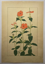 画像をギャラリービューアに読み込む, 【真作保証】杉浦非水　非水百花譜より　かんぴせんをう
