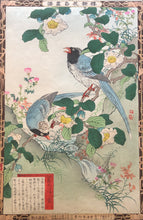 Load image into Gallery viewer, 【Genuine guarante】Kono Bairei　1883

