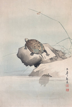 Load image into Gallery viewer, Ooide Toko　original woodblock print, Turtle
