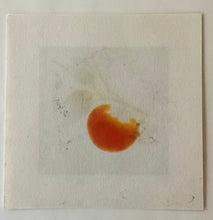 画像をギャラリービューアに読み込む, 【真作保証】白巻　persimmon
