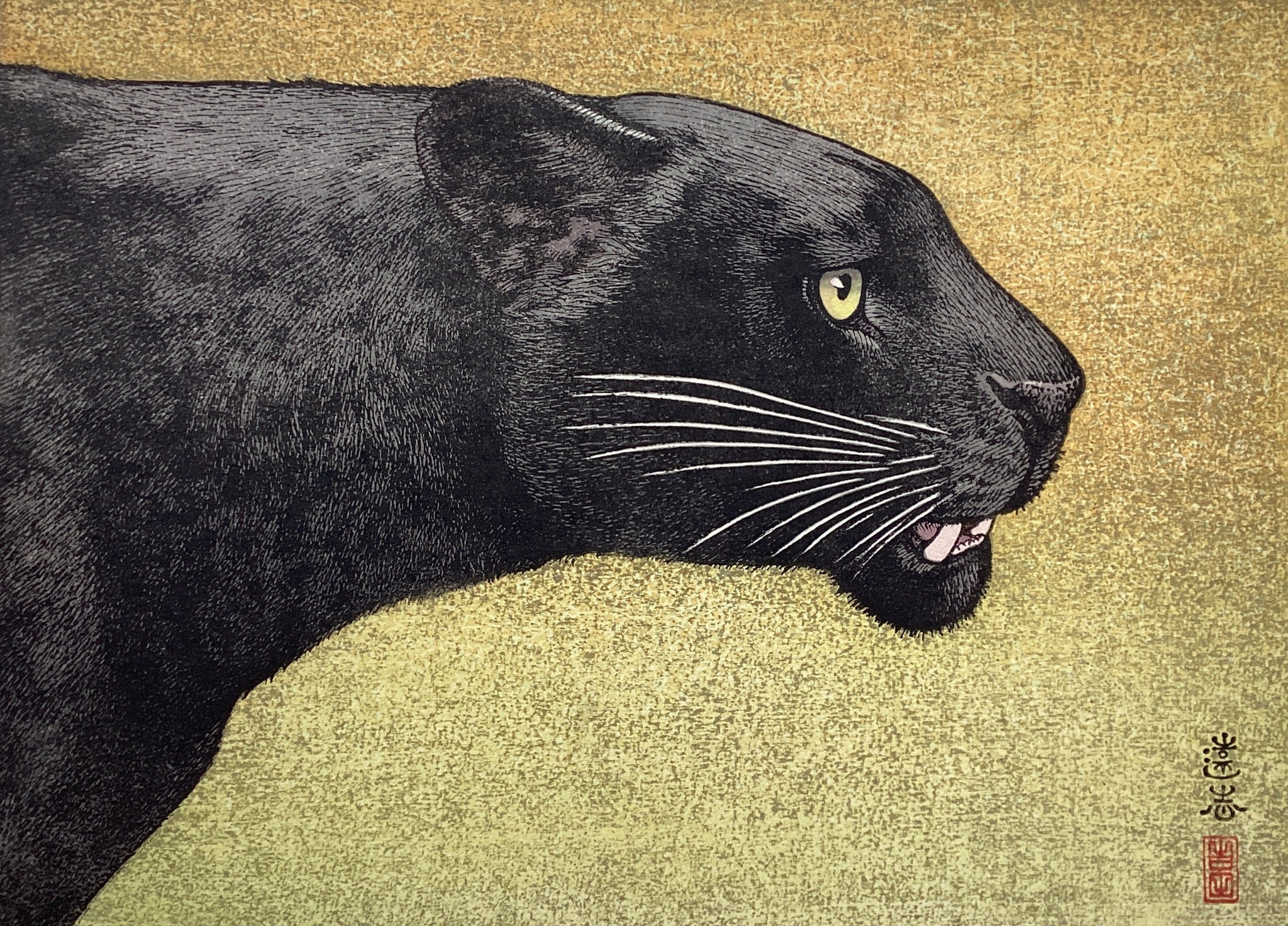 吉田遠志 – curve-arts