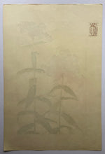 画像をギャラリービューアに読み込む, 【真作保証】杉浦非水　非水百花譜より　くさけうちくとう
