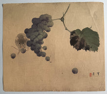 Load image into Gallery viewer, 【真作保証】渡辺省亭　ねずみ　ぶどう　
