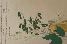 画像をギャラリービューアに読み込む, 【真作保証】歌麿　ばったと蟷螂
