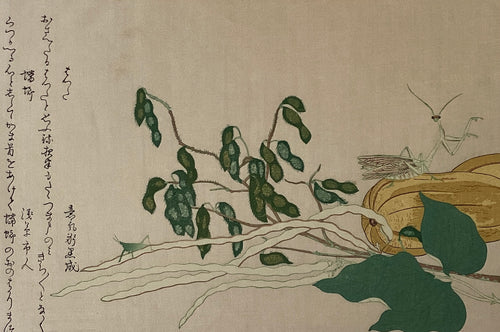 新着順 – curve-arts