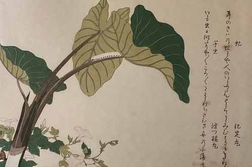 新着順 – curve-arts