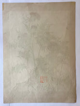 画像をギャラリービューアに読み込む, 【真作保証】池田瑞月　瑞月草花画譜　あきあざみ(４２) 　
