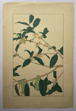 画像をギャラリービューアに読み込む, 【真作保証】杉浦非水　非水百花譜より　木犀（もくせい）
