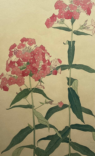 新着順 – curve-arts