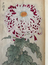 画像をギャラリービューアに読み込む, 　【真作保証】長谷川契華　契華百菊
