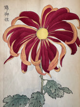 画像をギャラリービューアに読み込む, 　【真作保証】長谷川契華　契華百菊

