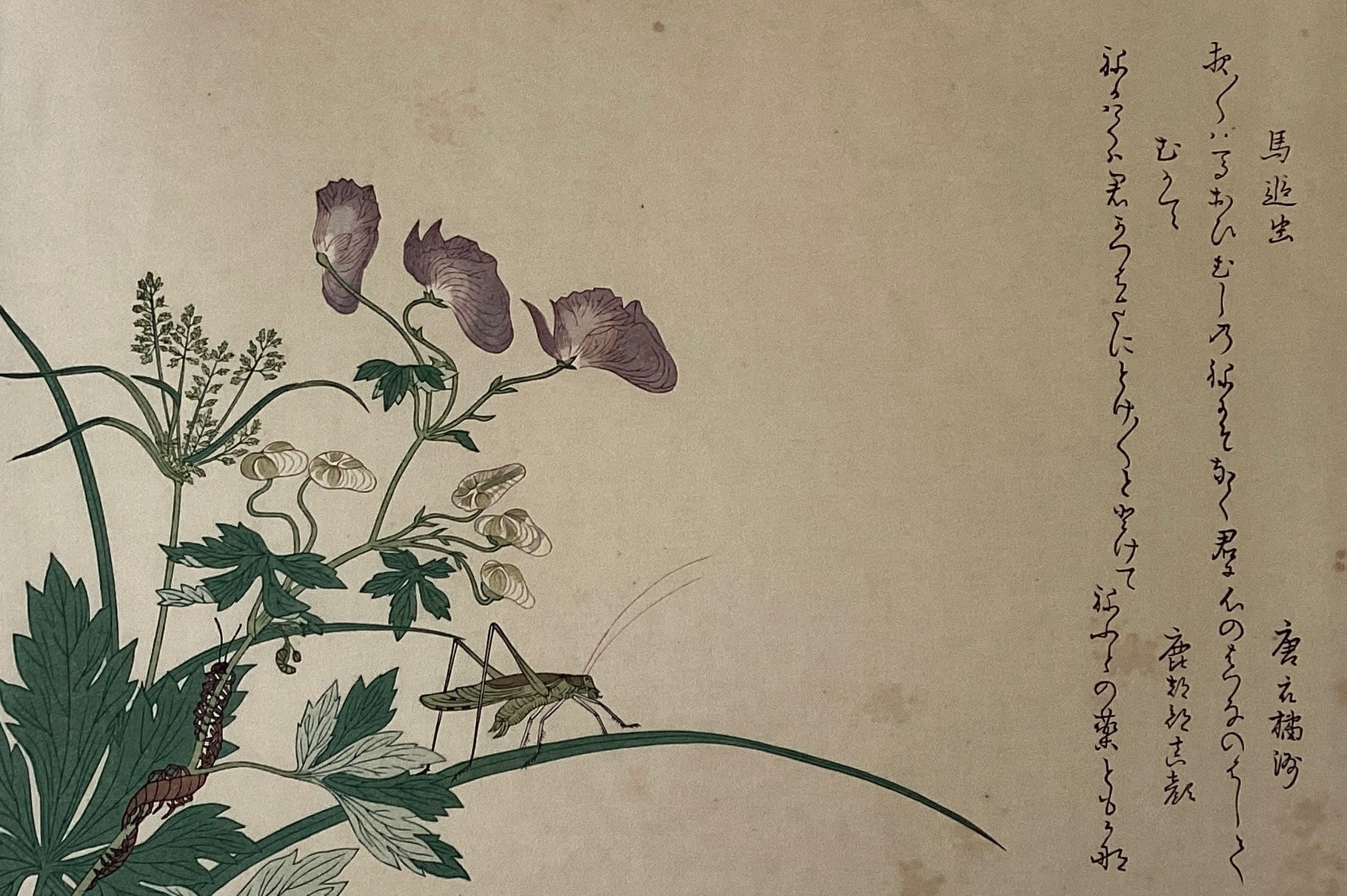 新着順 – curve-arts