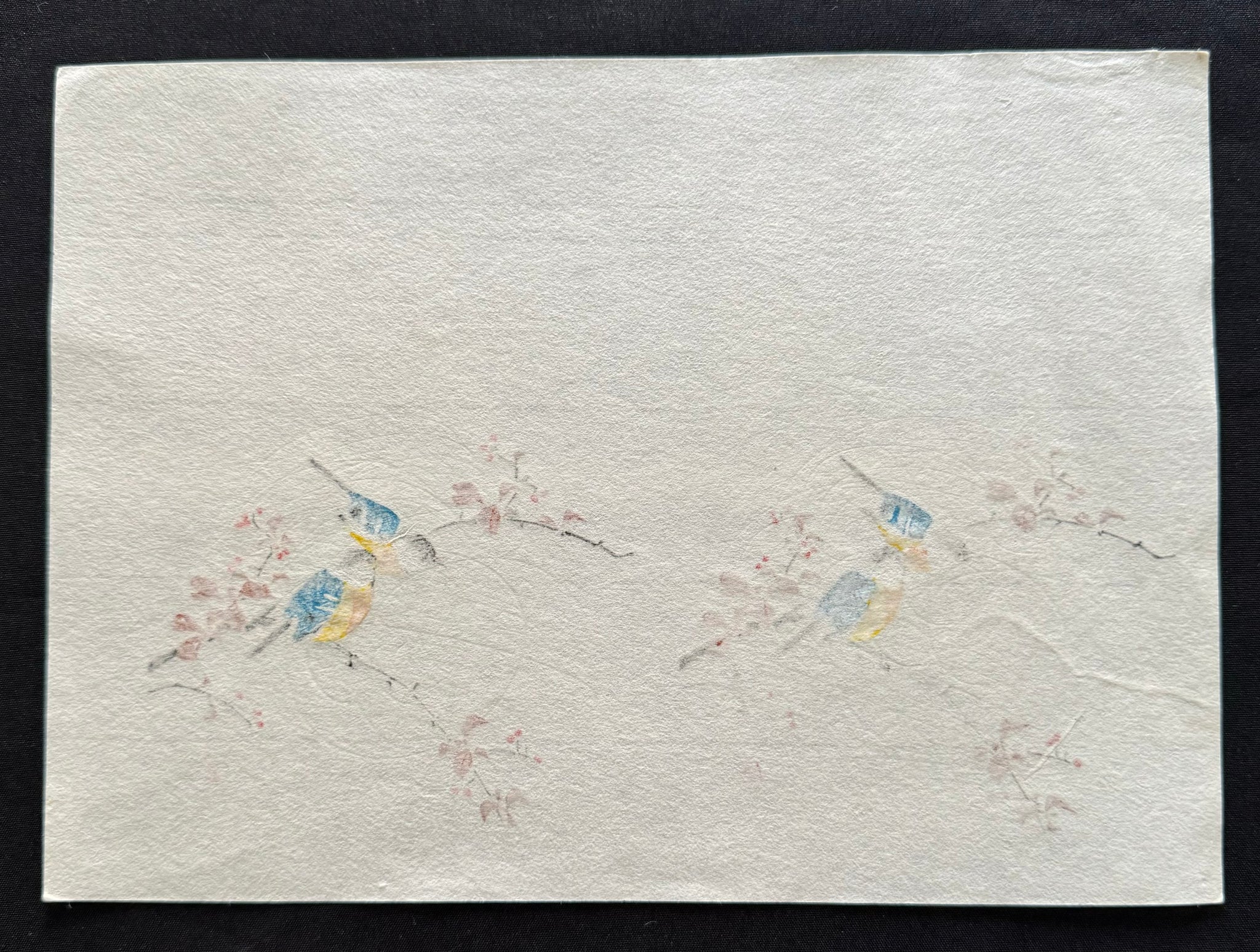 真作保証】作者不詳 小鳥と赤い実 木版画 花鳥画 小判 Unknown