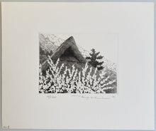 Load image into Gallery viewer, 【Genuine guarantee】Tanaka Ryohei, Toka
