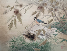 Load image into Gallery viewer, 【Geniune guarantee】Sakakibara Shiho
