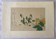 画像をギャラリービューアに読み込む, 【真作保証】歌麿　ばったと蟷螂
