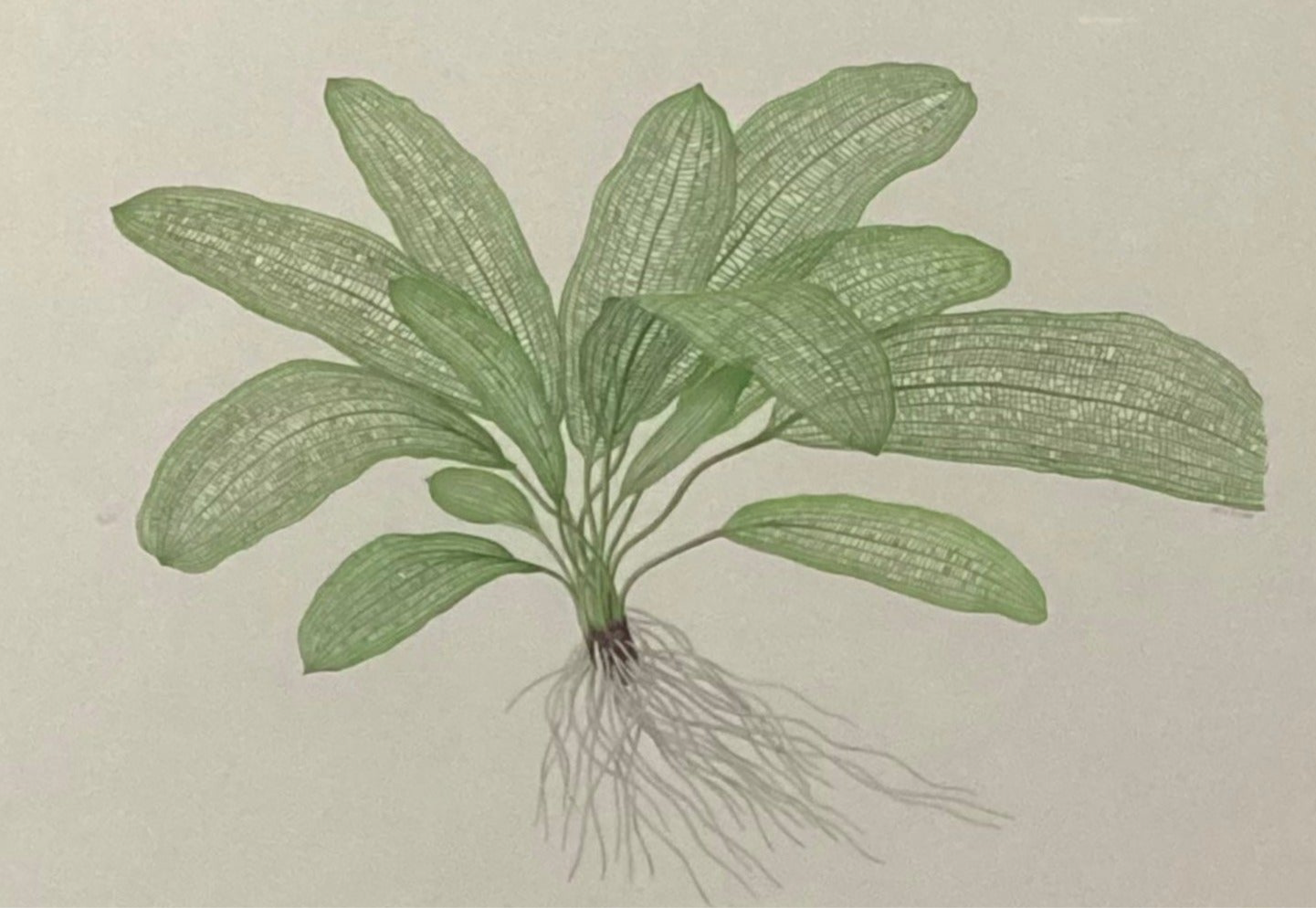 近代・現代アート 2 – curve-arts