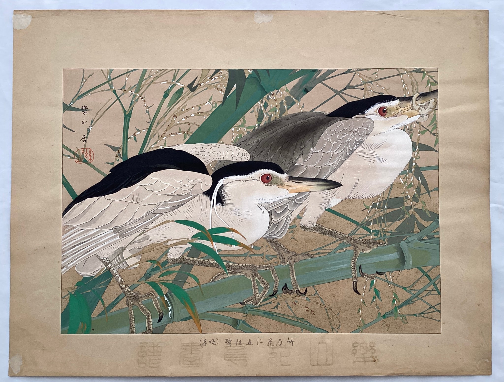 真作保証】土屋楽山 竹の花に五位鷺 tsuchiya rakuzan Japanese