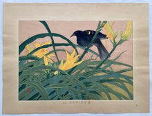 Load image into Gallery viewer, Reserve【Genuine guarante】Tsuchiya Rakuzan, 
