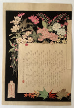 Load image into Gallery viewer, 【Genuine guarantee】Mizuno Toshikata  Thirty-six Elegant Selections　 Contents　
