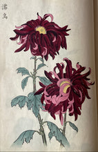 画像をギャラリービューアに読み込む, 　【真作保証】長谷川契華　契華百菊
