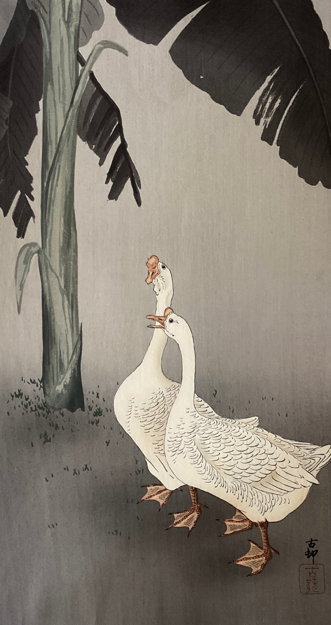 【Genuine guarante】Ohara Koson, Goose