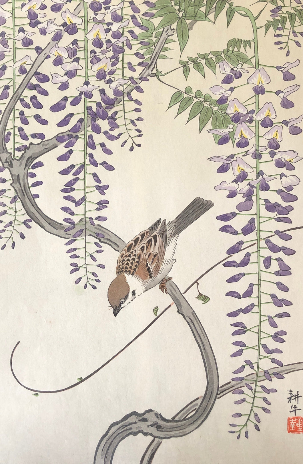 【真作保証】耕牛　藤に雀