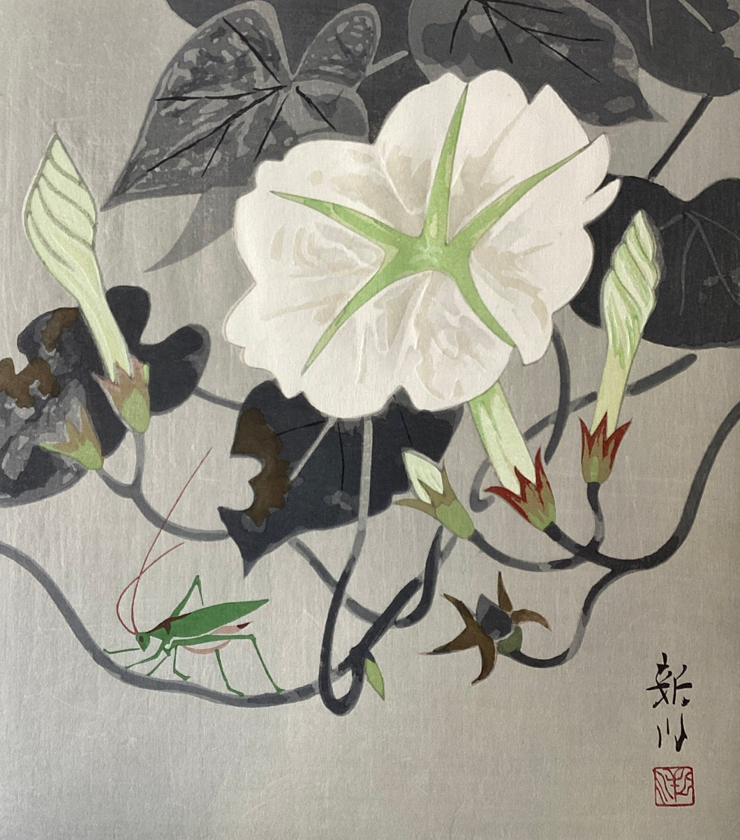 商談中【真作保証】西野新川