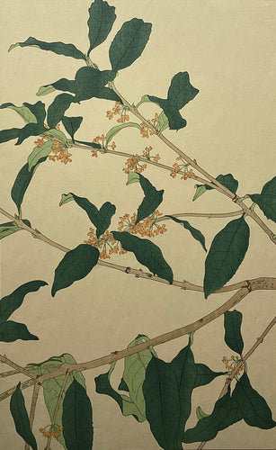 新着順 – curve-arts