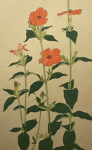 画像をギャラリービューアに読み込む, 【真作保証】杉浦非水　非水百花譜より　かんぴせんをう
