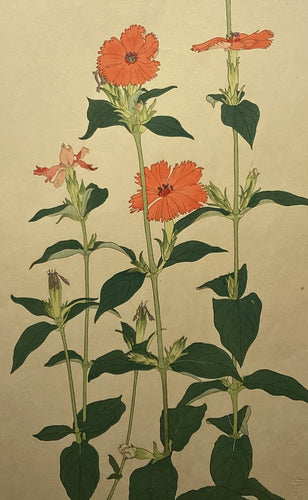 新着順 – curve-arts