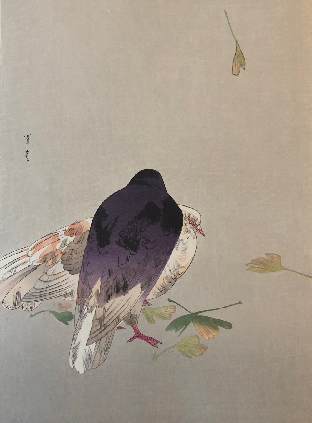 ありがとうございました【真作保証】渡辺省亭　鳩