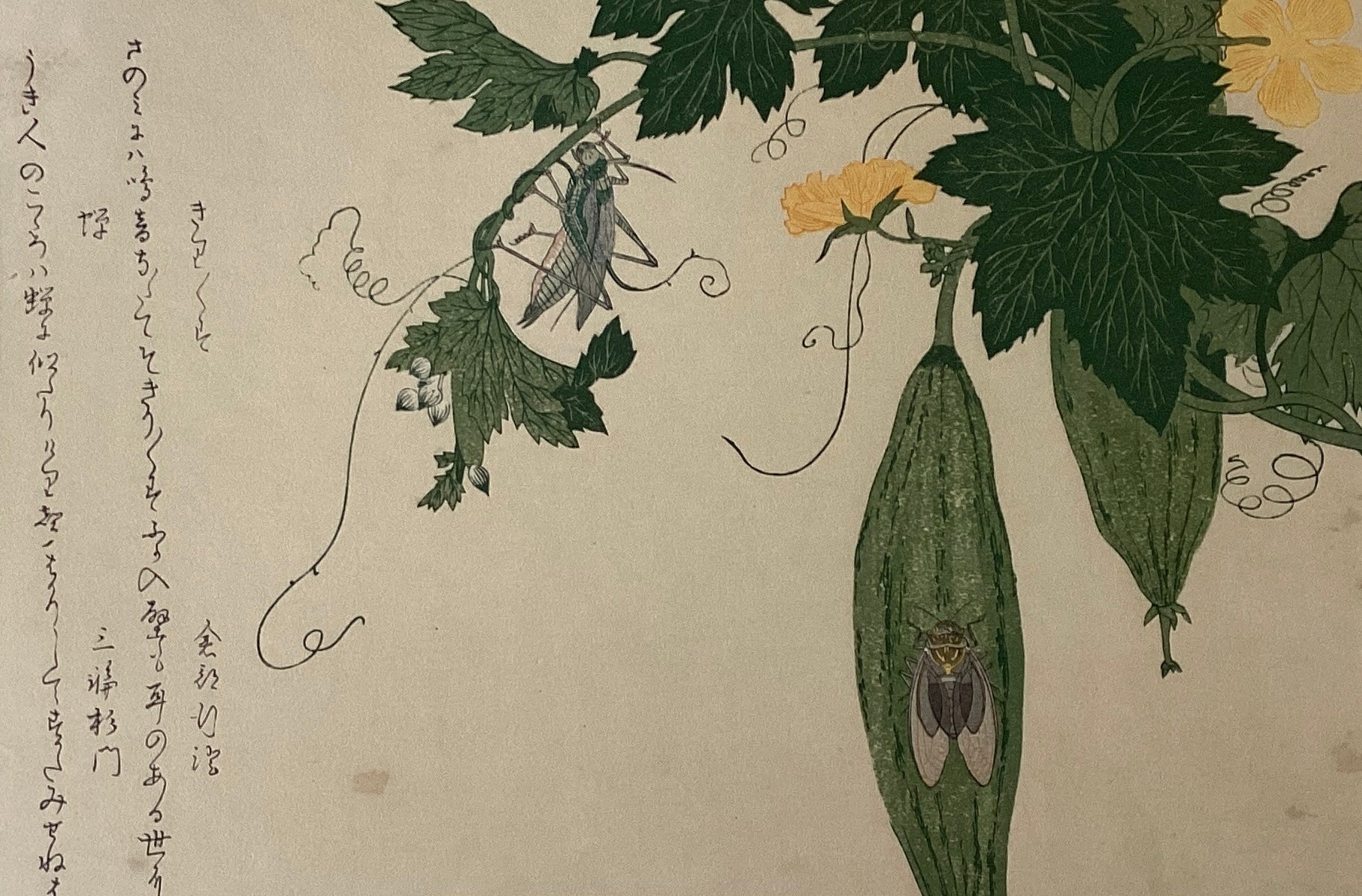 新着順 – curve-arts