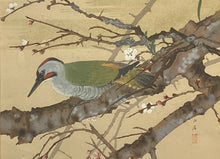 Load image into Gallery viewer, 【Genuine guarante】Tsuchiya Rakuzan,
