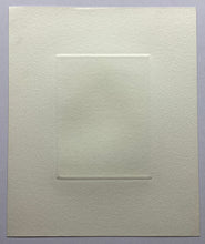 Load image into Gallery viewer, 【Genuine guarantee】Tanaka Ryohei, Susuki to Warayane No.2
